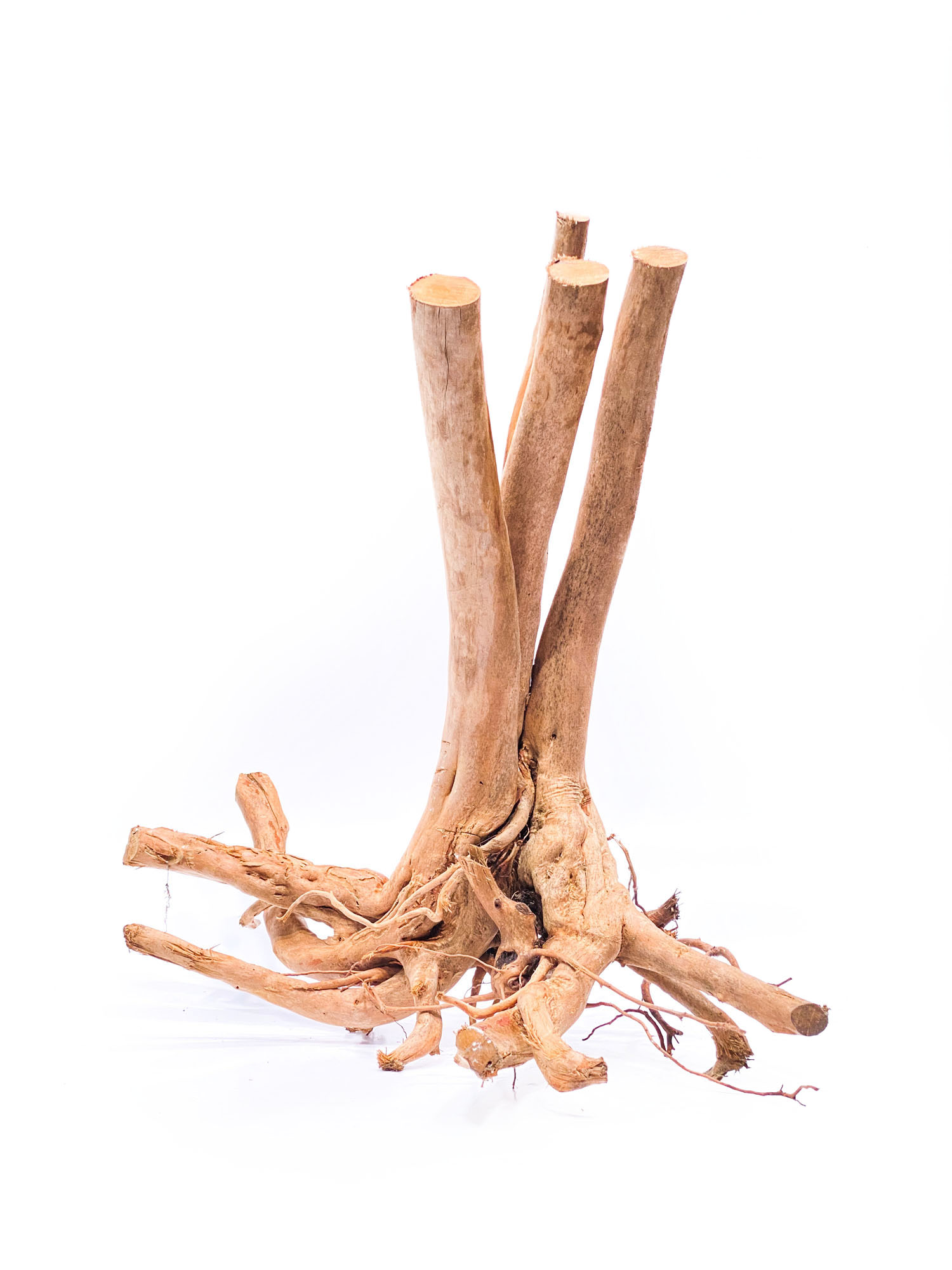 39a Aquarium / terrarium wood - Stamp - Big - Image 1