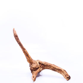 Aquarium / terrarium wood - Plant Wood - Small/Medium
