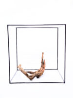 Koreň pre terárium / akvárium Plant Wood - Small/Medium – Obrázok 2