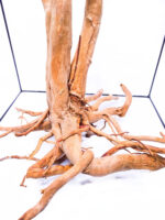 Aquarium / terrarium wood - Stamp - Big - Image 6