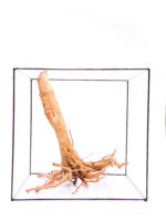 Aquarium / terrarium wood - Stamp - Big - Image 5