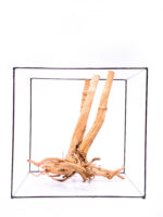 Aquarium / terrarium wood - Stamp - Big - Image 2