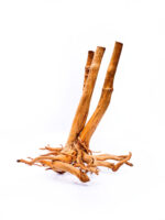 Aquarium / terrarium wood - Stamp - Big