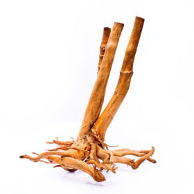 Aquarium / terrarium wood - Stamp - Big