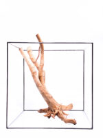 Koreň pre terárium / akvárium Stamp - veľký – Obrázok 5