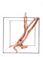 Koreň pre terárium / akvárium Stamp - veľký – Obrázok 3