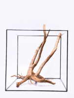 Koreň pre terárium / akvárium Stamp - veľký – Obrázok 4