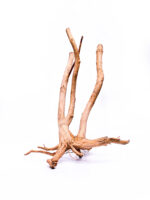 Koreň pre terárium / akvárium Stamp - veľký