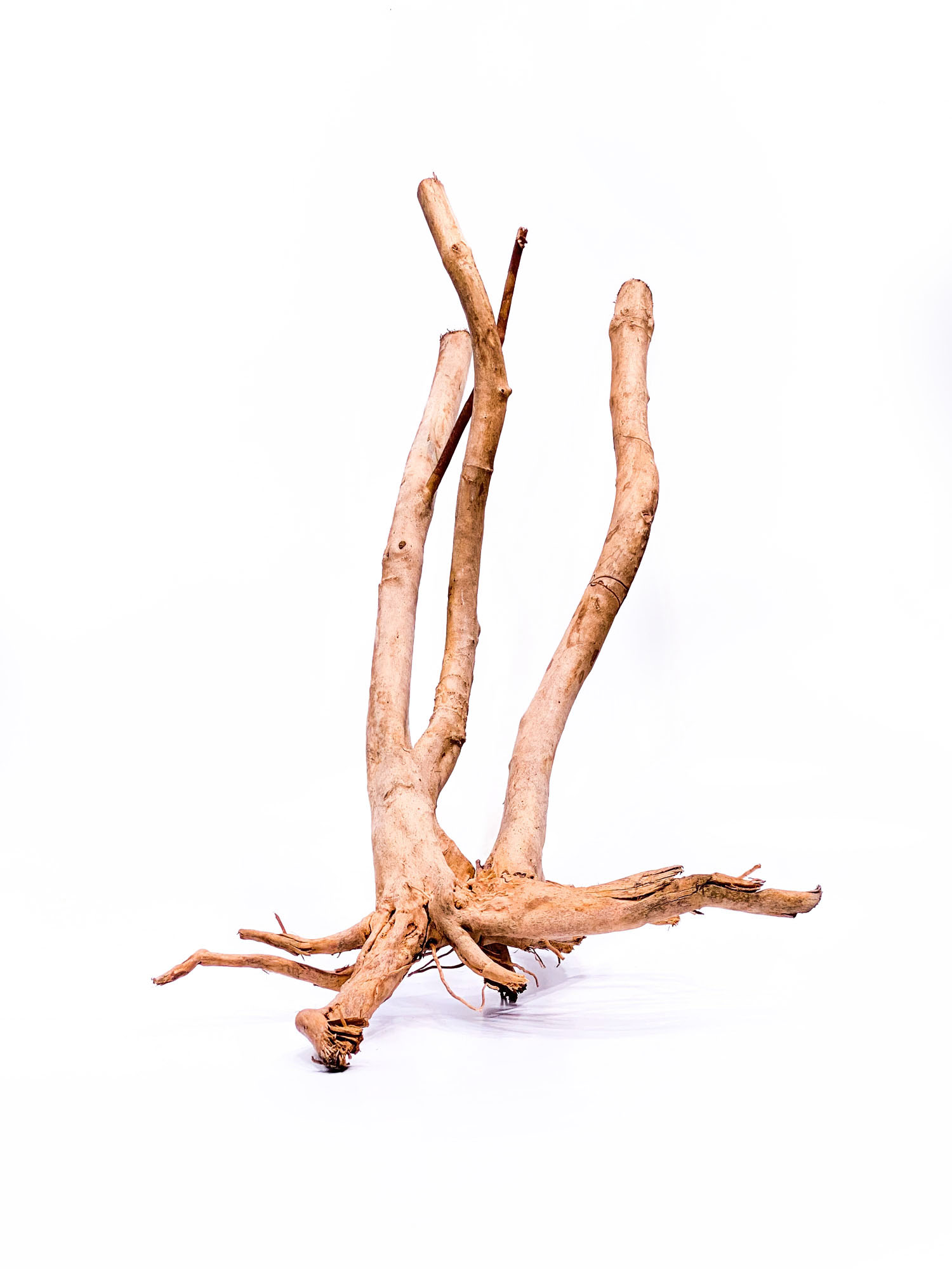 41a Koreň pre terárium / akvárium Stamp - veľký – Obrázok 1