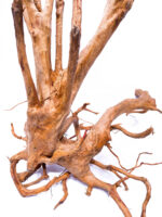 Terarijní / akvarijní kořen Stamp – velký - Obrázek 5