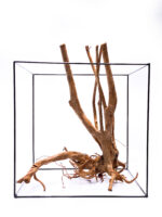 Terarijní / akvarijní kořen Stamp – velký - Obrázek 4