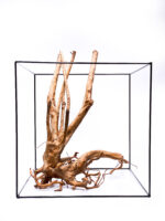 Terarijní / akvarijní kořen Stamp – velký - Obrázek 2