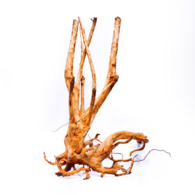 Koreň pre terárium / akvárium Stamp - veľký