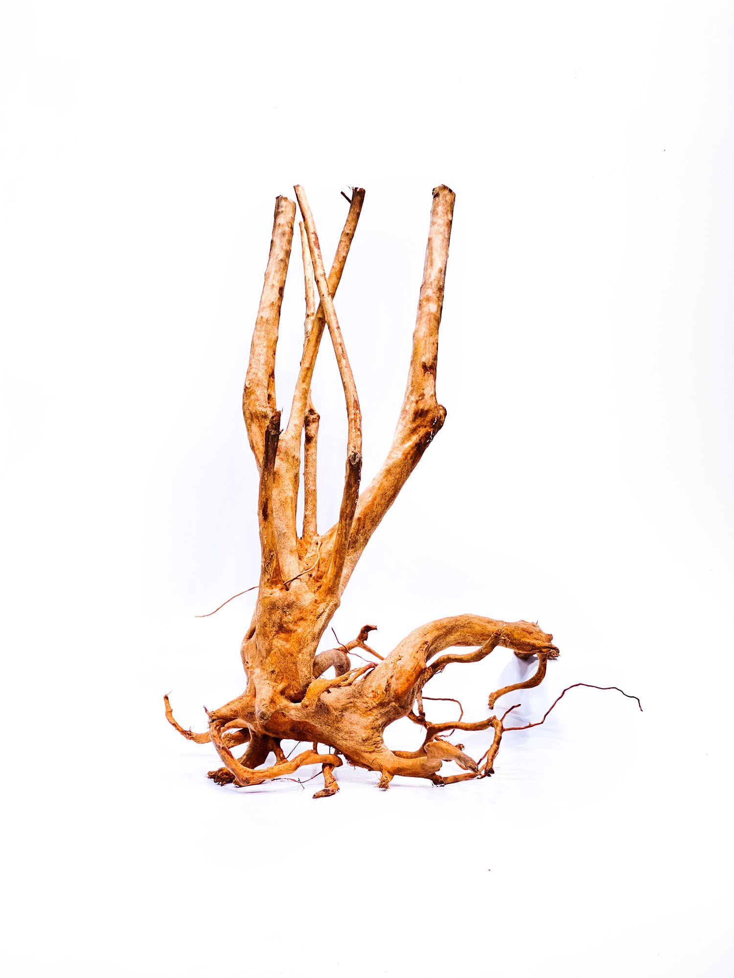 42a Terarijní / akvarijní kořen Stamp – velký - Obrázek 1