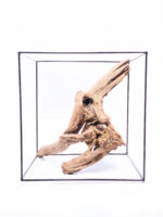 Radice per acquario / terrario - Plant Wood - Piccolo/Medio - immagine 2