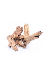 Radice per acquario / terrario - Plant Wood - Piccolo/Medio