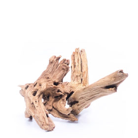 Terarijní / akvarijní kořen Plant Wood - střední