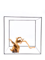 Terarijní / akvarijní kořen Red Moor - velký - Obrázek 3