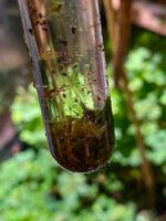 Probówka szklana 16 x 100 mm - obrazek 2