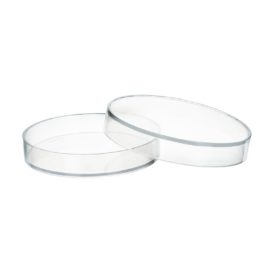 Plastic Petri dish 55 x 14 mm