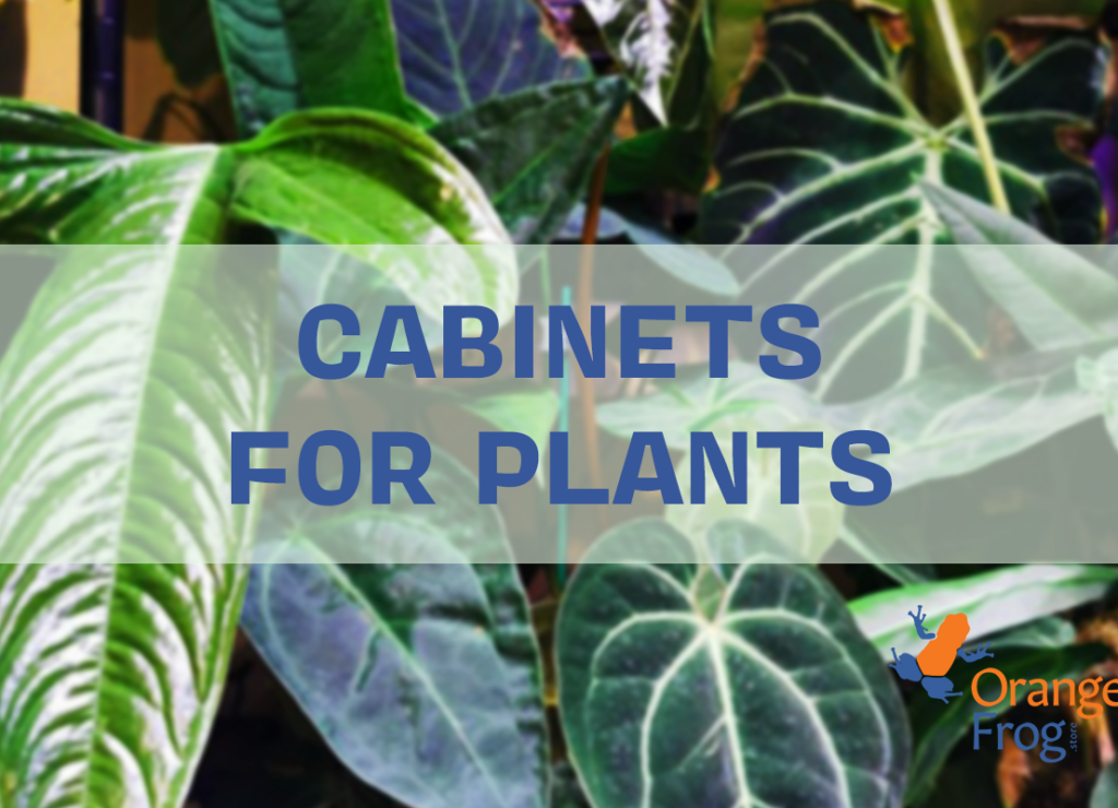 Glass cabinets for plants