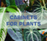 Glass cabinets for plants