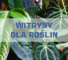 Oświetlenie do witryny dla roślin
