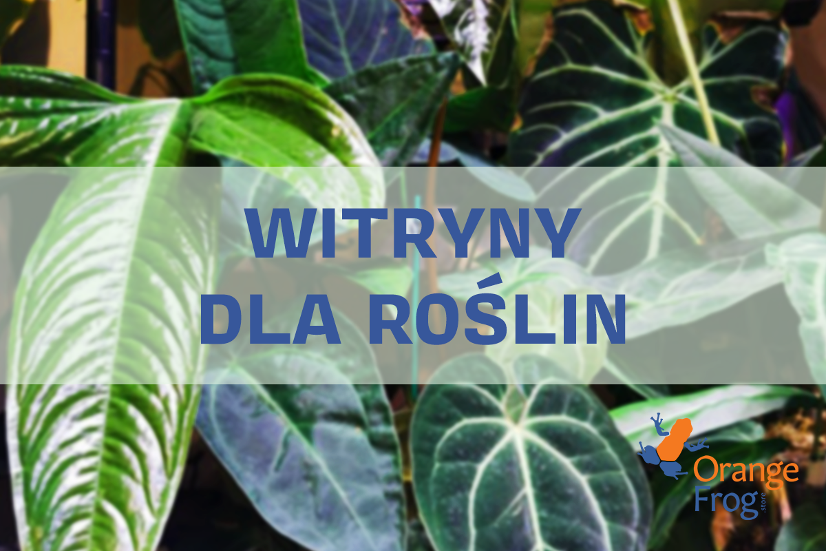 Oświetlenie do witryny dla roślin