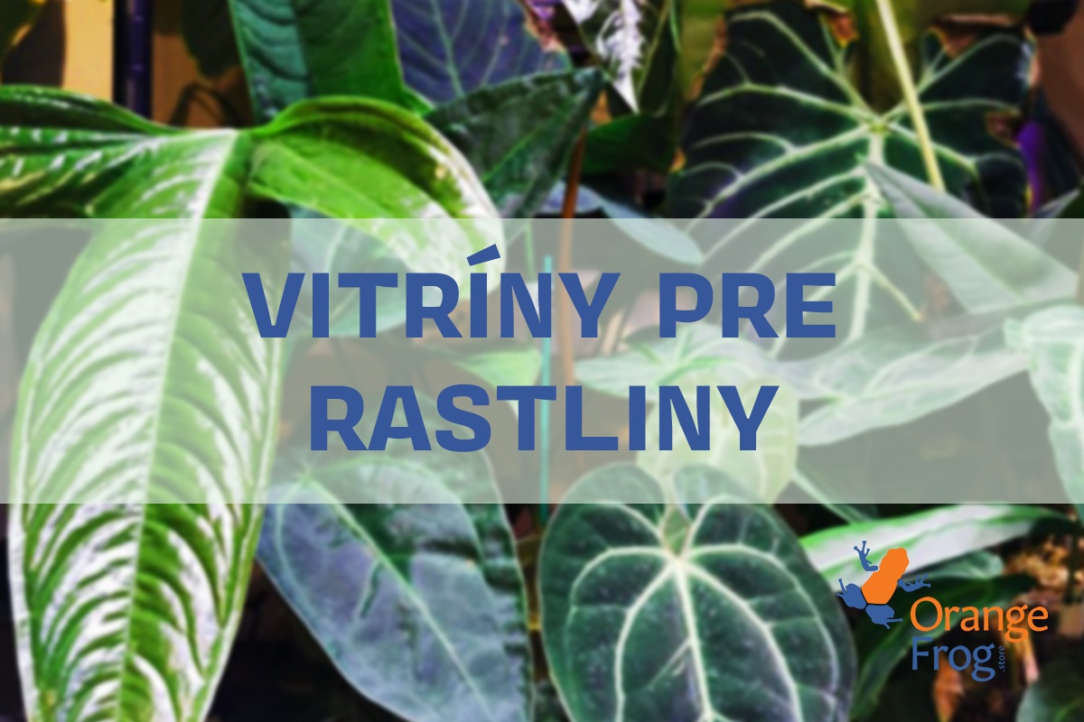 Sklenená vitrína na rastliny - osvetlenie, ventilácia