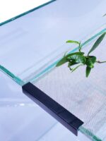 Zestaw startowy - hodowla drzewołazów - obrazek 5