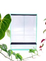 Zestaw startowy - hodowla drzewołazów - obrazek 7