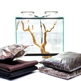 zestaw do hodowli drzewołazów