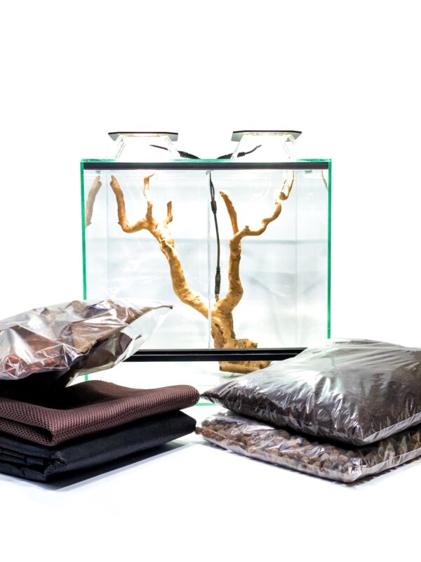 zestaw do hodowli drzewołazów