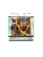 Zestaw startowy - hodowla drzewołazów - obrazek 2