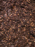 Substrat für tropische Terrarium – Bild 2