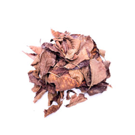 Liście do terrarium - magnolia dried magnolia leaves Getrocknete Magnolienblätter für das tropische Terrarium