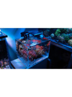 Skylight Hyperbar R - Image 8