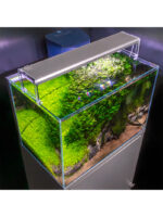 Skylight Entriq - Image 8