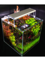 Skylight Entriq - Image 9