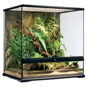 Terrarium Exo Terra Natural - MEDIUM