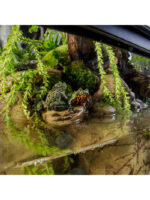 Exo Terra Natural terraario - MEDIUM - Image 10