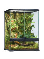 Terrarium Exo Terra Natural - SMALL - obrazek 6
