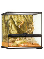 Terrarium Exo Terra Natural - SMALL