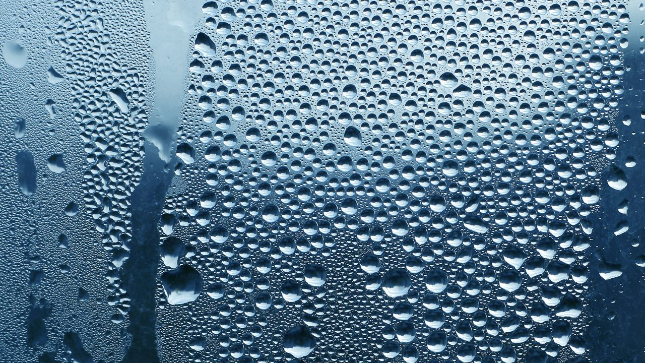 Exo Terra Pro Paludarium terrarium paludarium