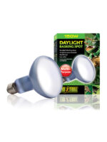 Exo Terra Daylight Basking Spot