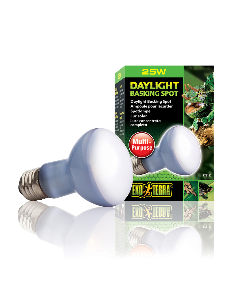 Exo-Terra-Daylight-Basking-Spot-25W-orangefrog Exo Terra Daylight Basking Spot