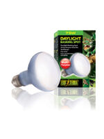 Exo Terra Daylight Basking Spot