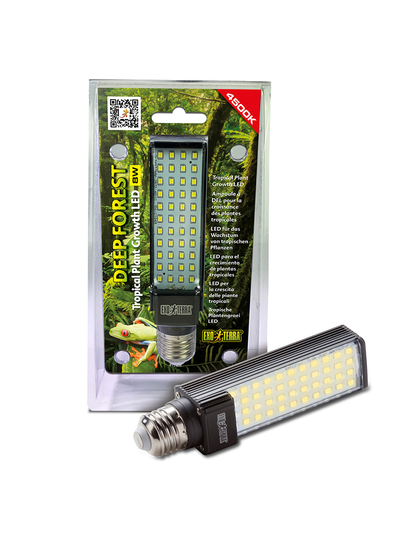 Exo-Terra-Deep-Forest-orangefrog Exo Terra Deep Forest