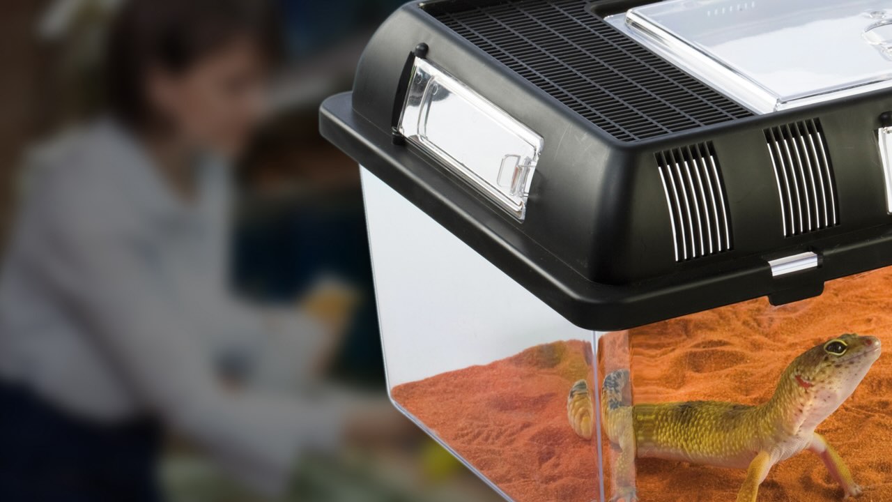 Exo Terra Breeding Box