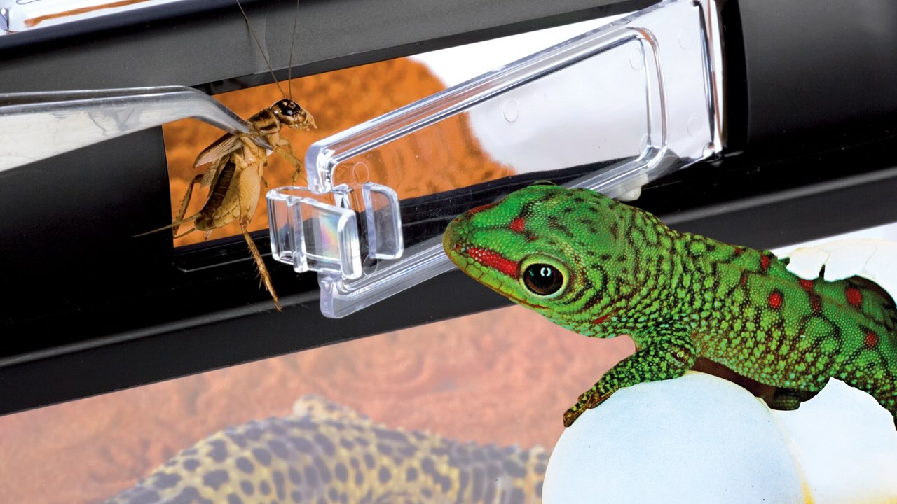 Exo Terra Breeding Box